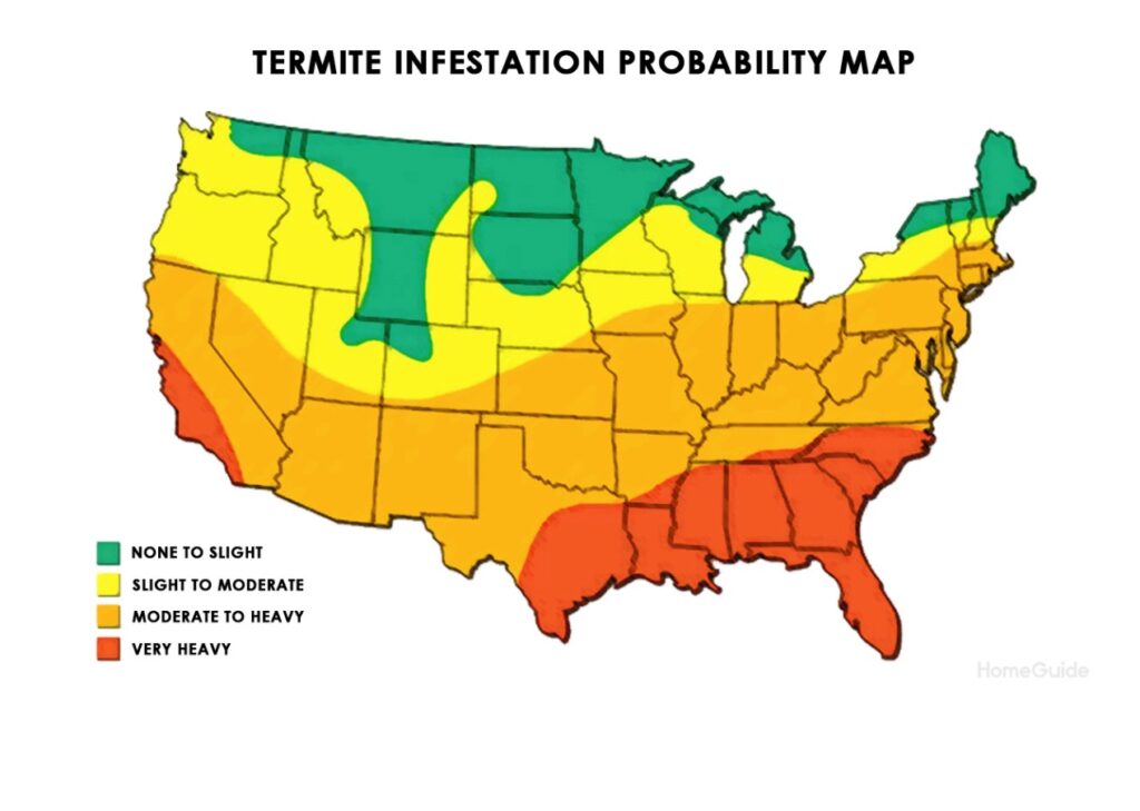 Termite infestation probability map